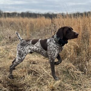 Hunt Deposit